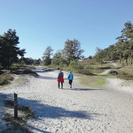 Wooden Near Brunssummerheide *